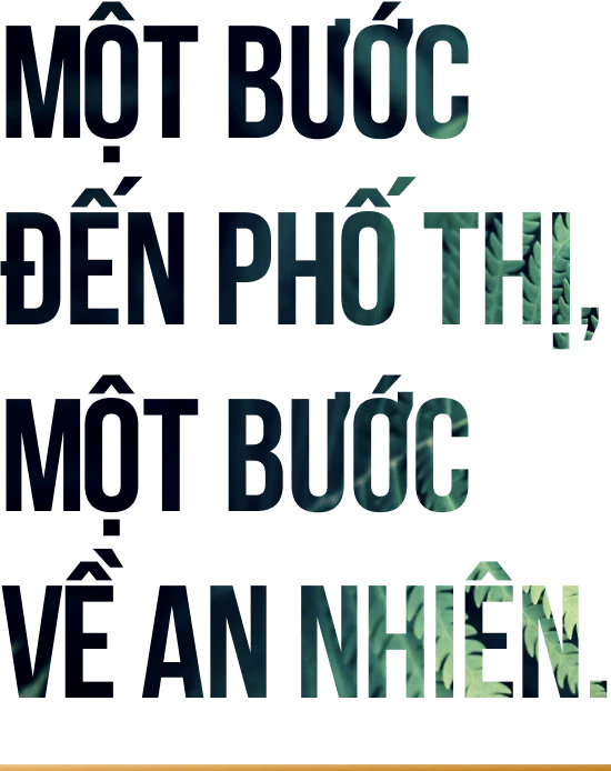 VỊ TRÍ DỰ ÁN NHÀ Ở XÃ HỘI EVERGREEN BẮC GIANG